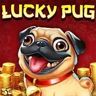 Lucky PugHighfive