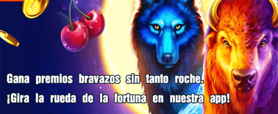 Sé un Agente pecasinomiami.com 🚀